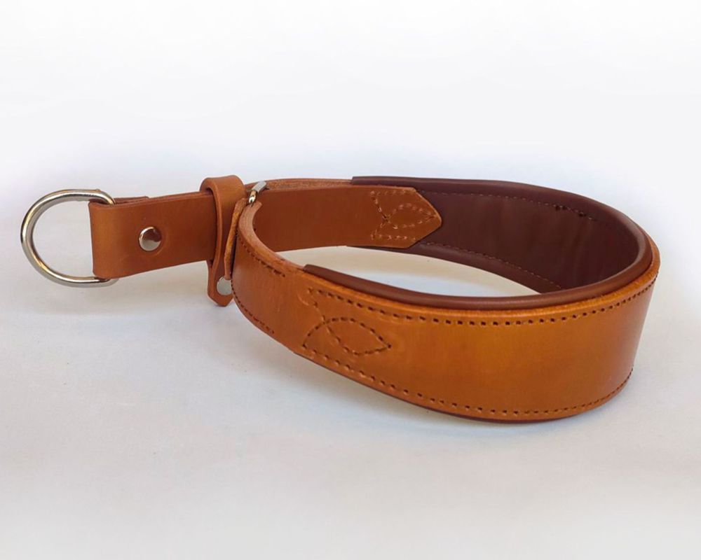 Martingale-style collar