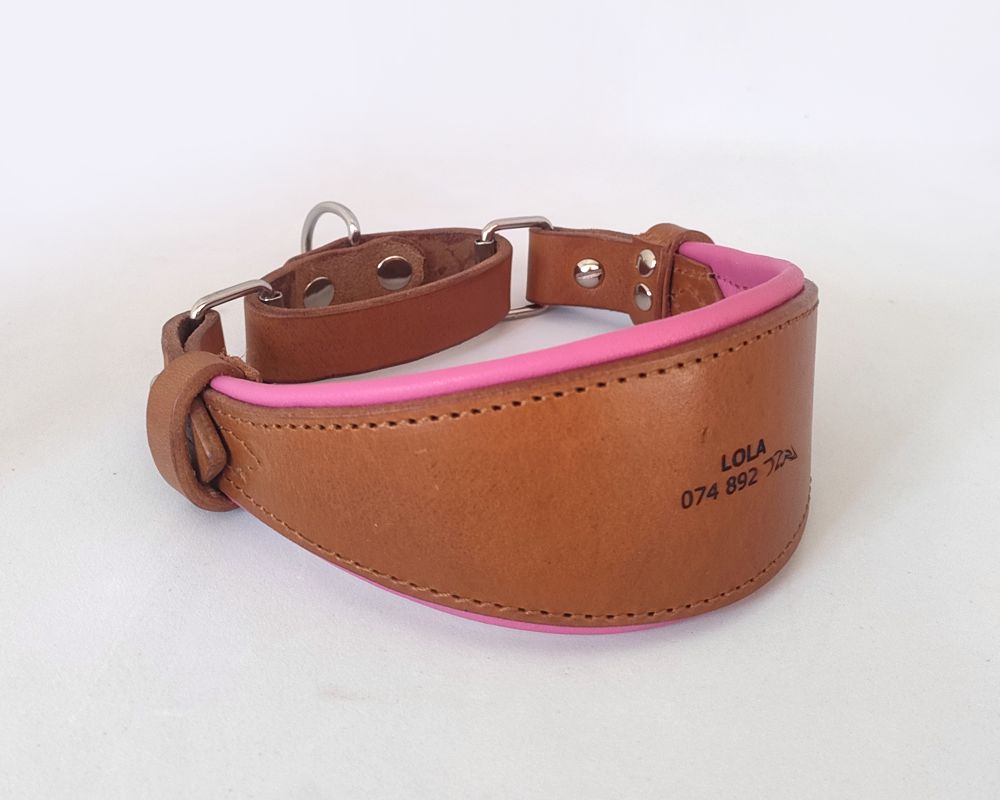 Martingale greyhound collar