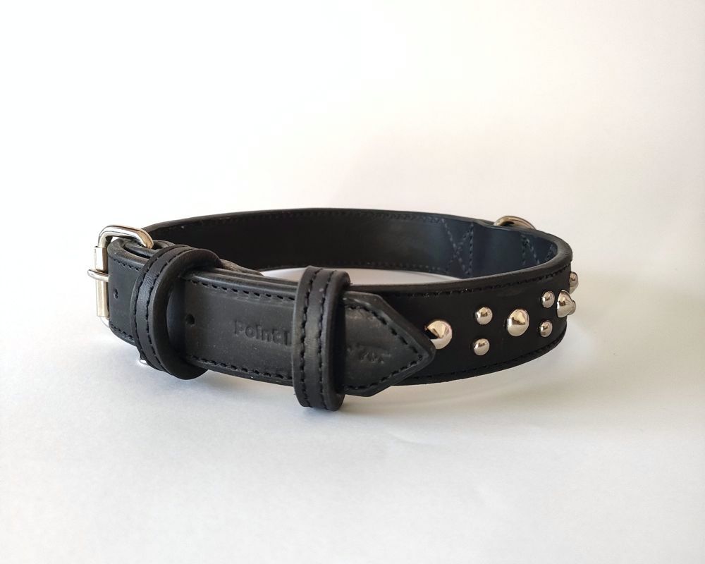 Bully collar with studs
