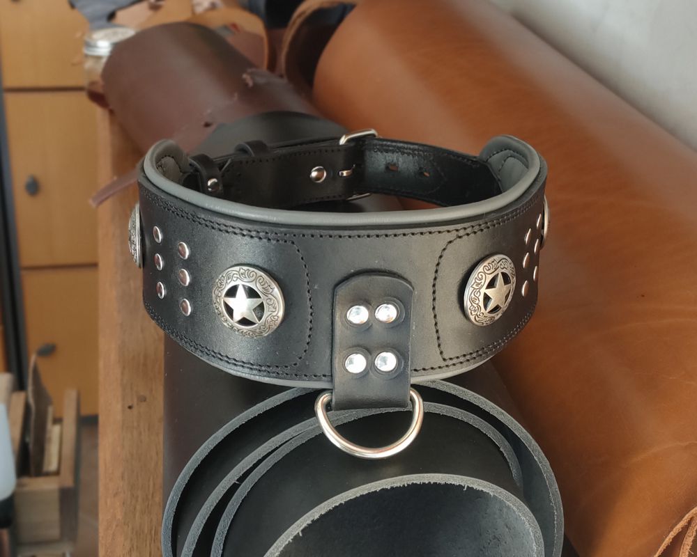 Collar for an American Bully
