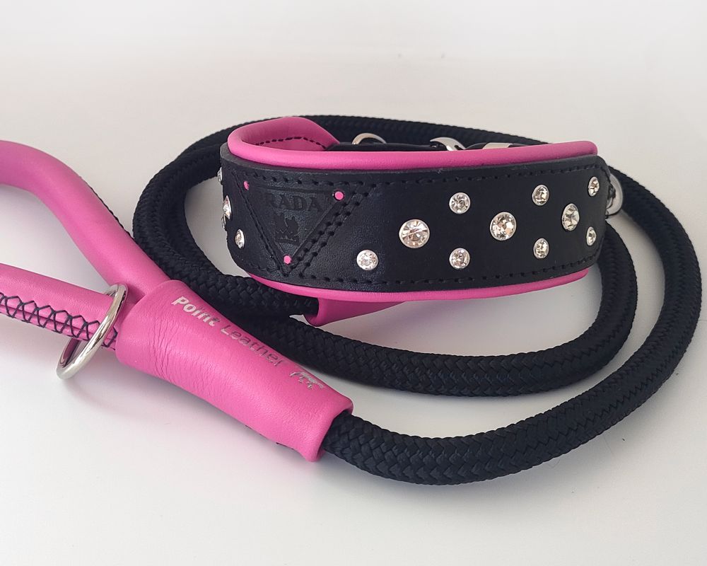 Collar for a Great Dane