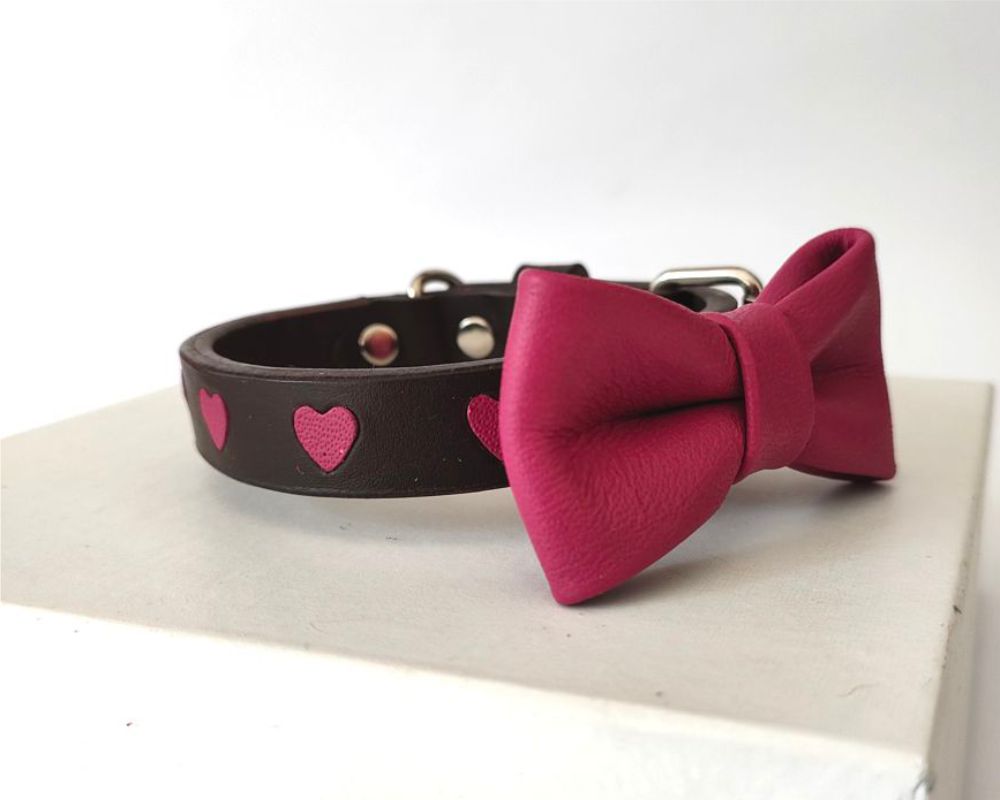 Miniature dog and puppy collars